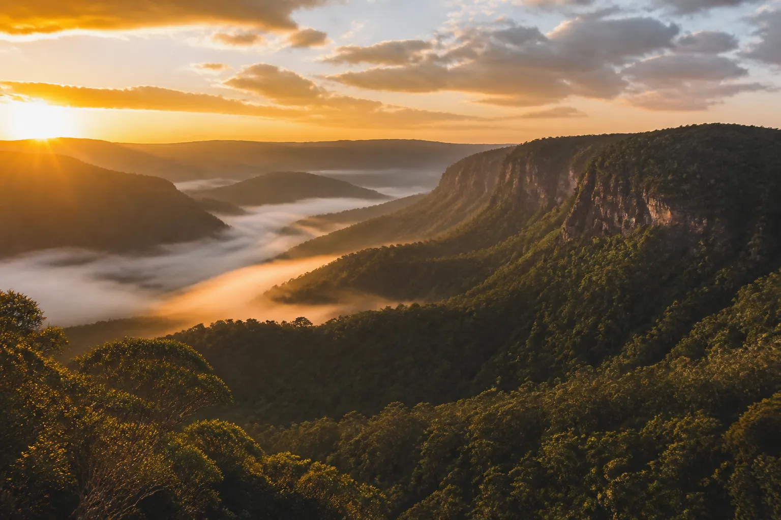 Dawn light over a misty Australian hinterland valley — atmospheric artwork